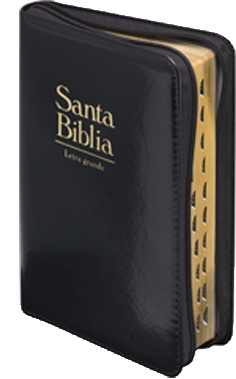 Portada Santa Biblia